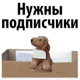 Подпишись, пожалуйста sticker 6