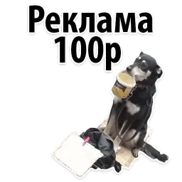 Подпишись, пожалуйста sticker 7