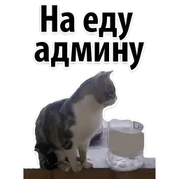 Подпишись, пожалуйста sticker 8