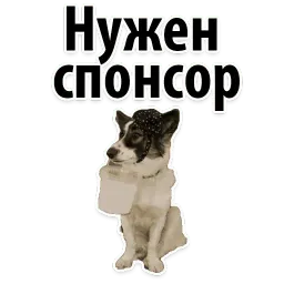 Подпишись, пожалуйста sticker 9