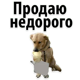 Подпишись, пожалуйста sticker 10