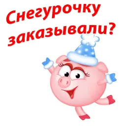 Новогодние Смешарики sticker 11