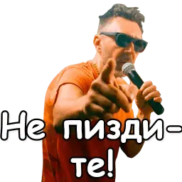 Шнуров sticker 12