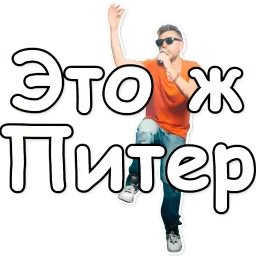 Шнуров sticker 5