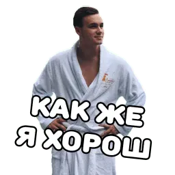 НИколай Соболев. (@everydaysticker) sticker 3