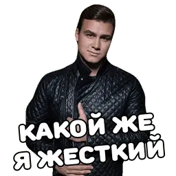 НИколай Соболев. (@everydaysticker) sticker 9