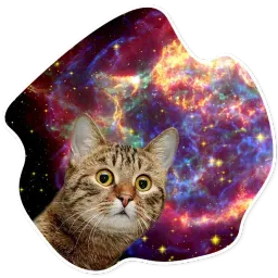 КосмоКотики Telegram sticker pack