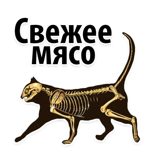 Космические Коты sticker 12