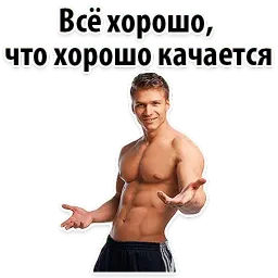 ⚽ Спорт и тренажерка sticker 11