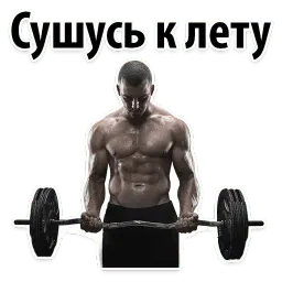 ⚽ Спорт и тренажерка sticker 4