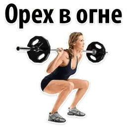 ⚽ Спорт и тренажерка sticker 6