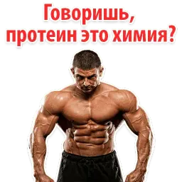 ⚽ Спорт и тренажерка sticker 8