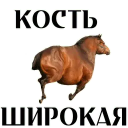 Про коней sticker 11