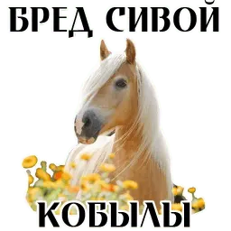 Про коней sticker 12