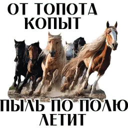 Про коней sticker 4