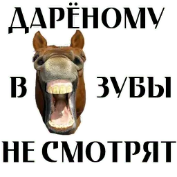 Про коней sticker 8