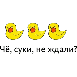 День Студента sticker 11
