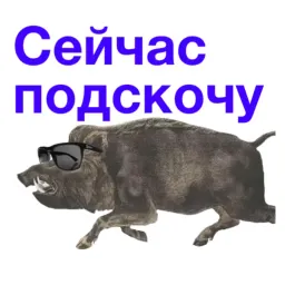 Сукаблять Мемный sticker 3