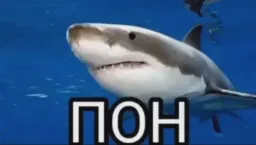 Сукаблять Мемный sticker 8