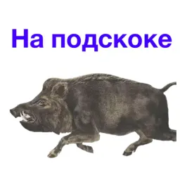 Сукаблять Мемный sticker 9