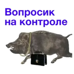 Сукаблять Мемный sticker 10