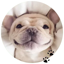 Бульдожки sticker 2