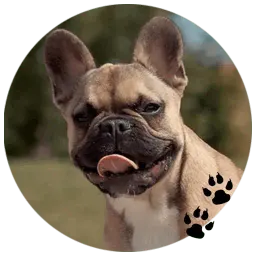 Бульдожки sticker 12