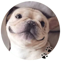 Бульдожки sticker 3