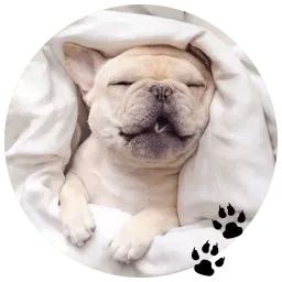 Бульдожки sticker 5