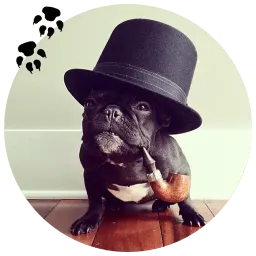 Бульдожки sticker 7