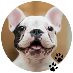 Бульдожки sticker 8