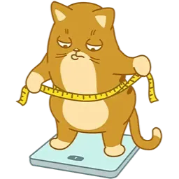 Teodor Cat sticker 11
