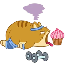 Teodor Cat sticker 12