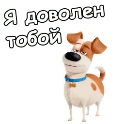 Тайная жизнь домашних животных sticker 4