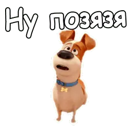 Тайная жизнь домашних животных sticker 6