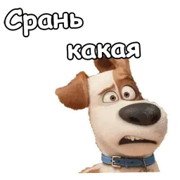 Тайная жизнь домашних животных sticker 7