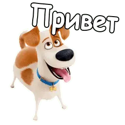 Тайная жизнь домашних животных sticker 9