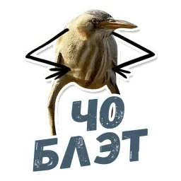 ТАК БЛЭТ sticker 2