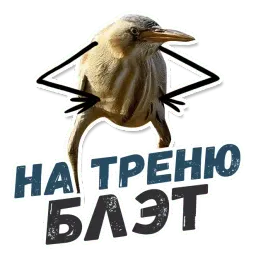 ТАК БЛЭТ sticker 11