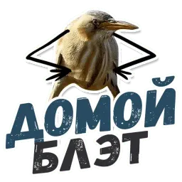 ТАК БЛЭТ sticker 12