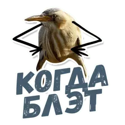 ТАК БЛЭТ sticker 4