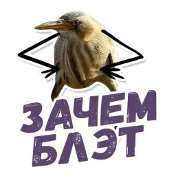 ТАК БЛЭТ sticker 5