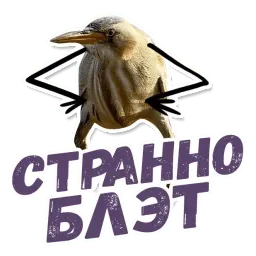 ТАК БЛЭТ sticker 6