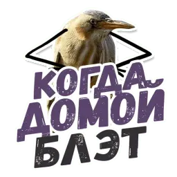 ТАК БЛЭТ sticker 7