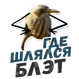 ТАК БЛЭТ sticker 9