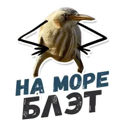 ТАК БЛЭТ sticker 10