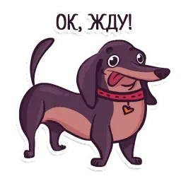 Такса Telegram sticker pack