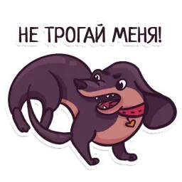 Такса sticker 2