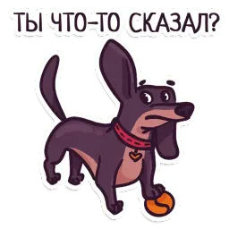 Такса sticker 11