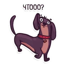 Такса sticker 6